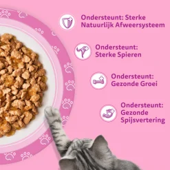 Whiskas Junior Gevogelte Selectie in Gelei - Multipack