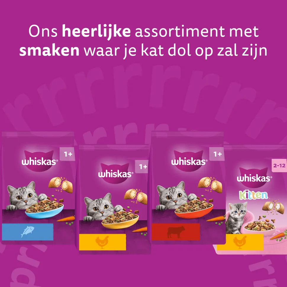 Whiskas Junior Kattenbrokken