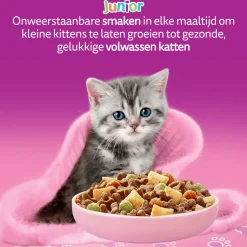 Whiskas Junior Kattenbrokken