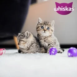 Whiskas Junior Kattenbrokken