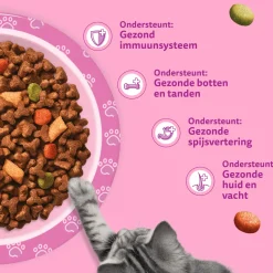 Whiskas Junior Kattenbrokken