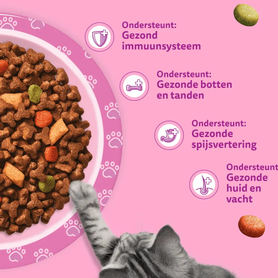 Whiskas Junior Kattenbrokken
