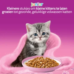 Whiskas Junior Natvoer - Classic