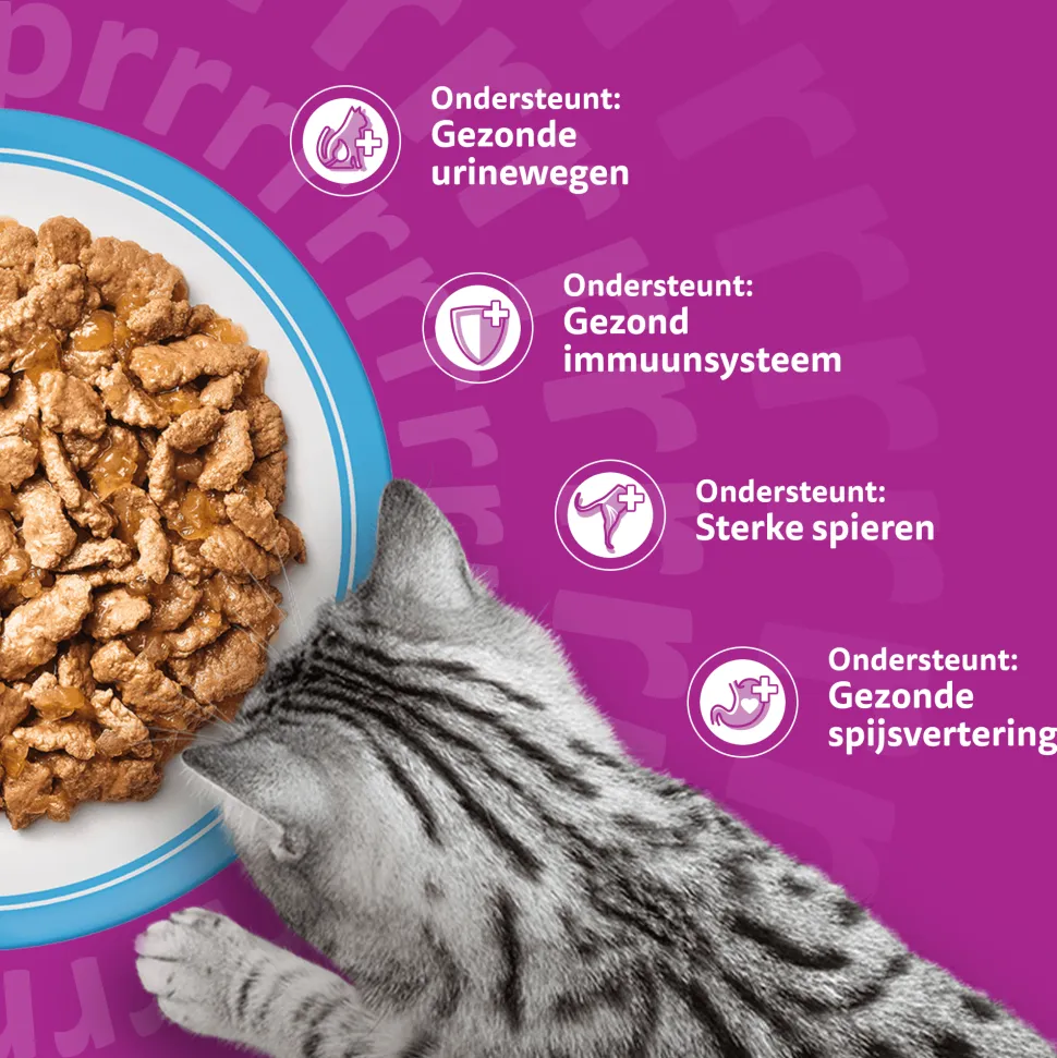 Whiskas 7+ Natvoer - Vis Selectie in Gelei