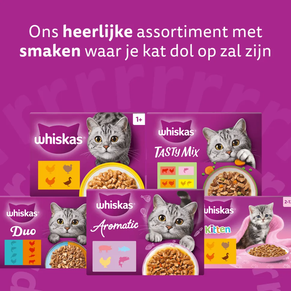 Whiskas 7+ Natvoer - Vis Selectie in Gelei
