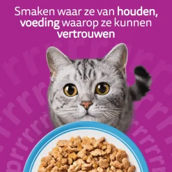 Whiskas 1+ Selectie - Multipacks