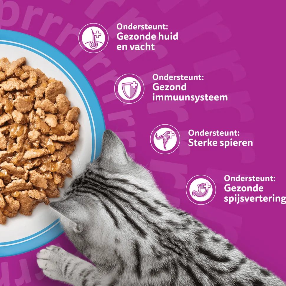 Whiskas 1+ Selectie - Multipacks
