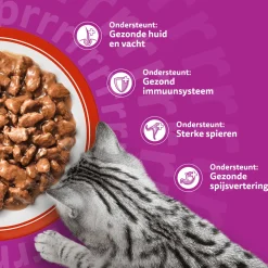 Whiskas 1+ Selectie - Multipacks