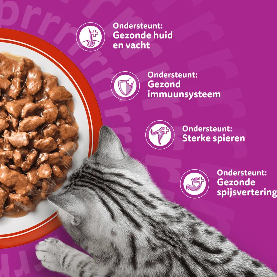 Whiskas 1+ Selectie - Multipacks