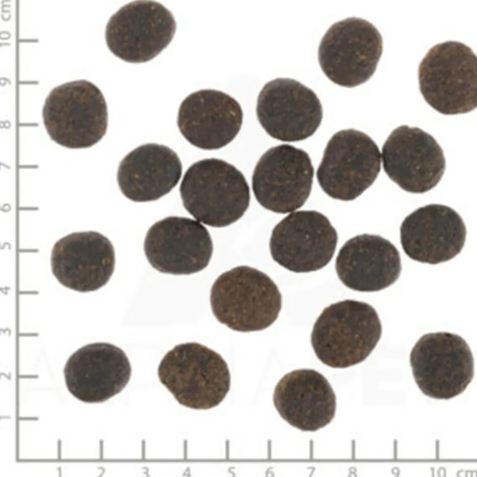 Wolfsblut VetLine Joint Care - Hondenvoer
