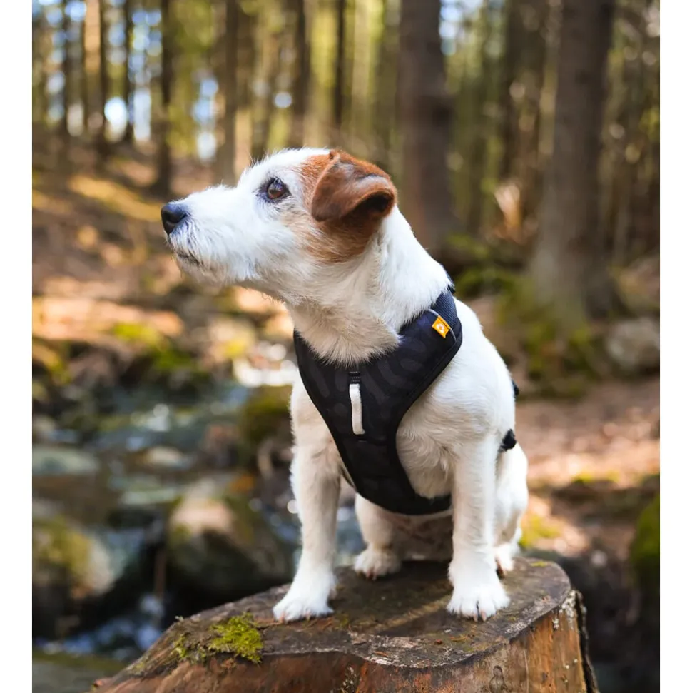 Woolly Wolf Roam Harness