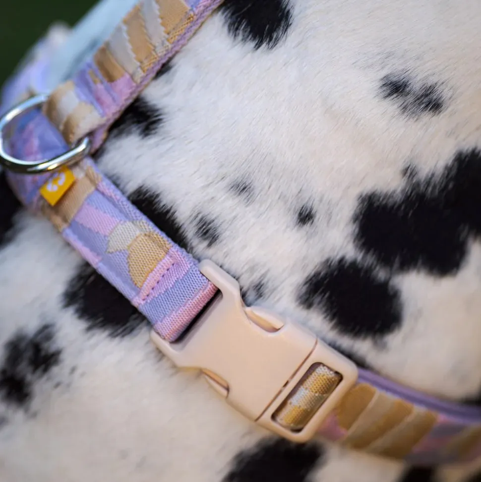 Woolly Wolf Sunshower Harness