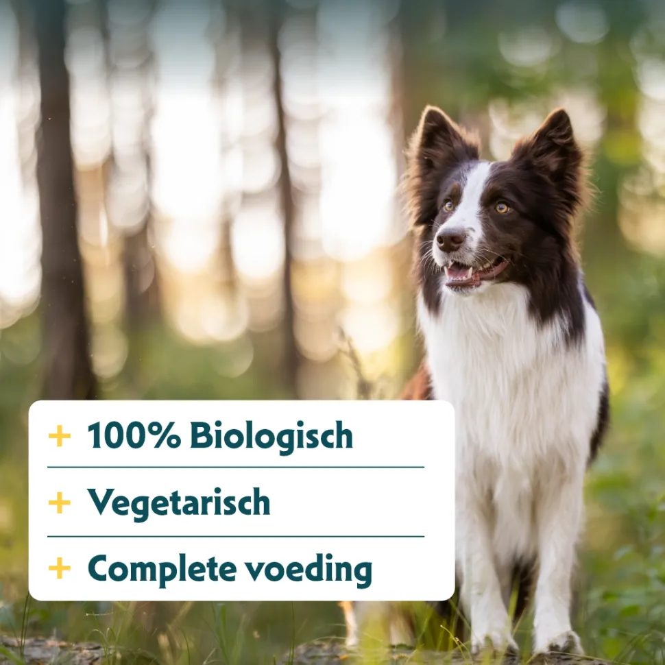 Yarrah - Bio Natvoer Hond Kuipje Chunks Vega