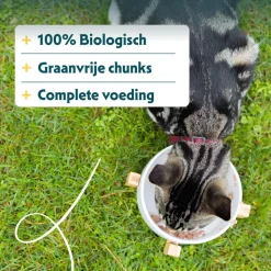 Yarrah - Chunks Kat Kuipje met Kip & Vis Bio