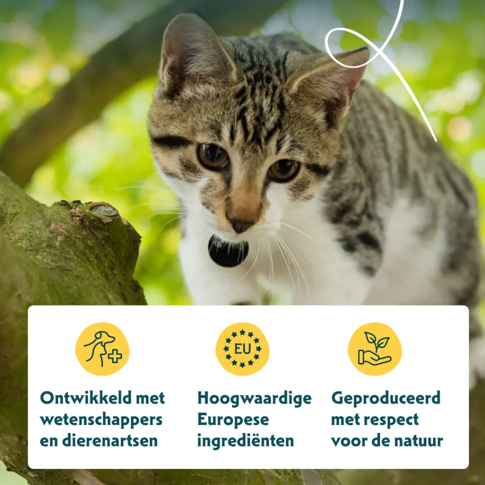 Yarrah - Chunks Kat Kuipje met Kip & Vis Bio