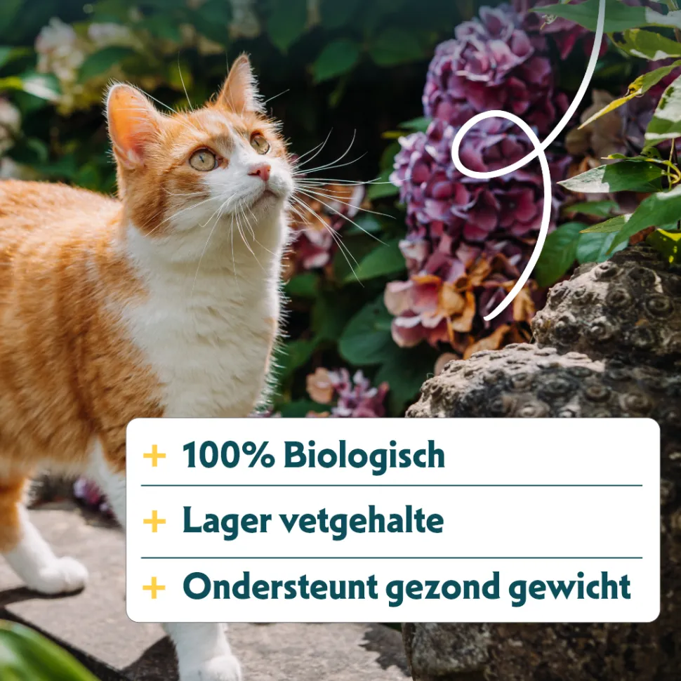 Yarrah - Droogvoer Gesteriliseerde Kat Tarwevrij Bio