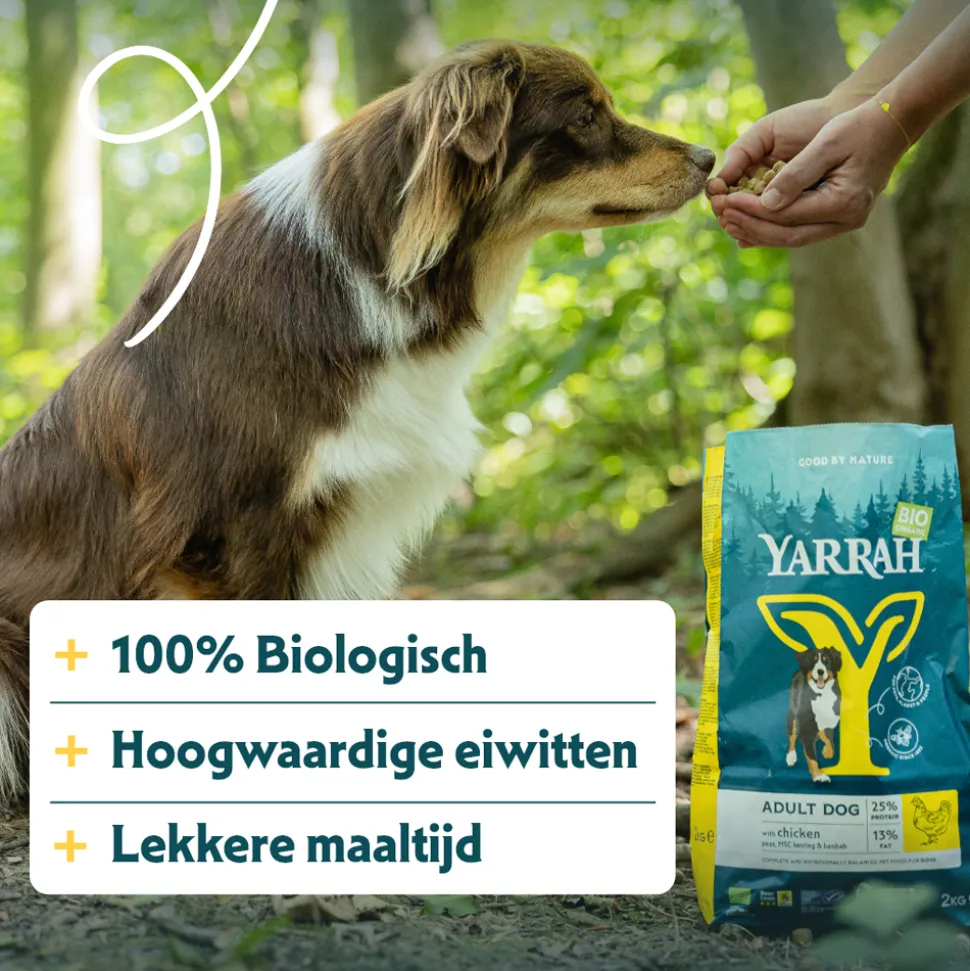 Yarrah - Droogvoer Hond met Kip Bio