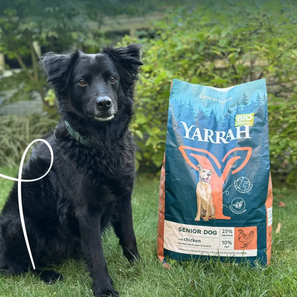 Yarrah - Droogvoer Hond Senior Bio