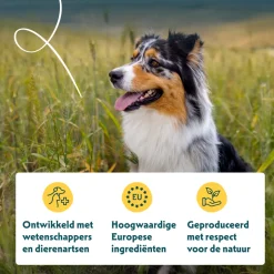 Yarrah - Droogvoer Hond Vega Bio