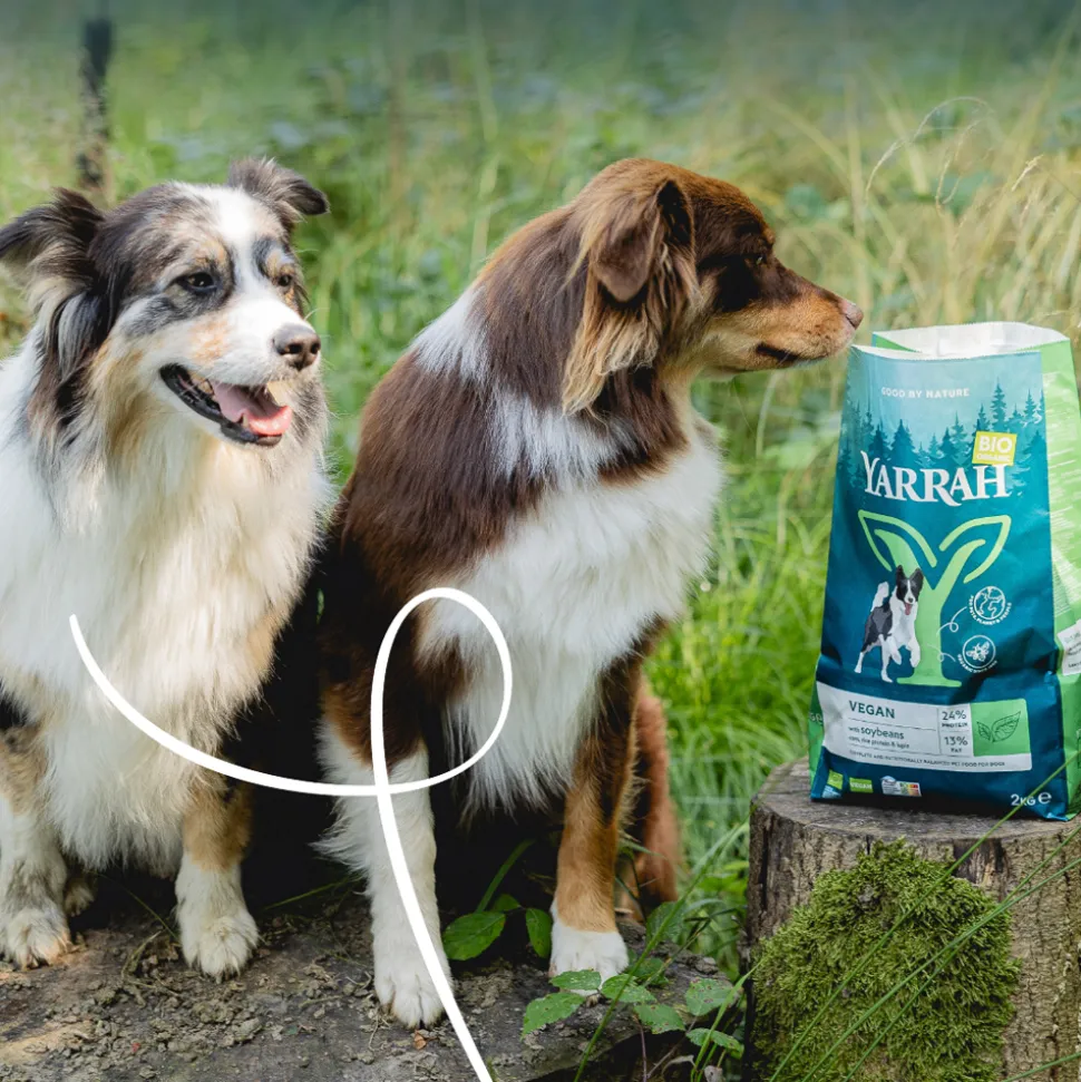 Yarrah - Droogvoer Hond Vega Bio