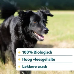 Yarrah - Hondensnack Chew Stick met Rund