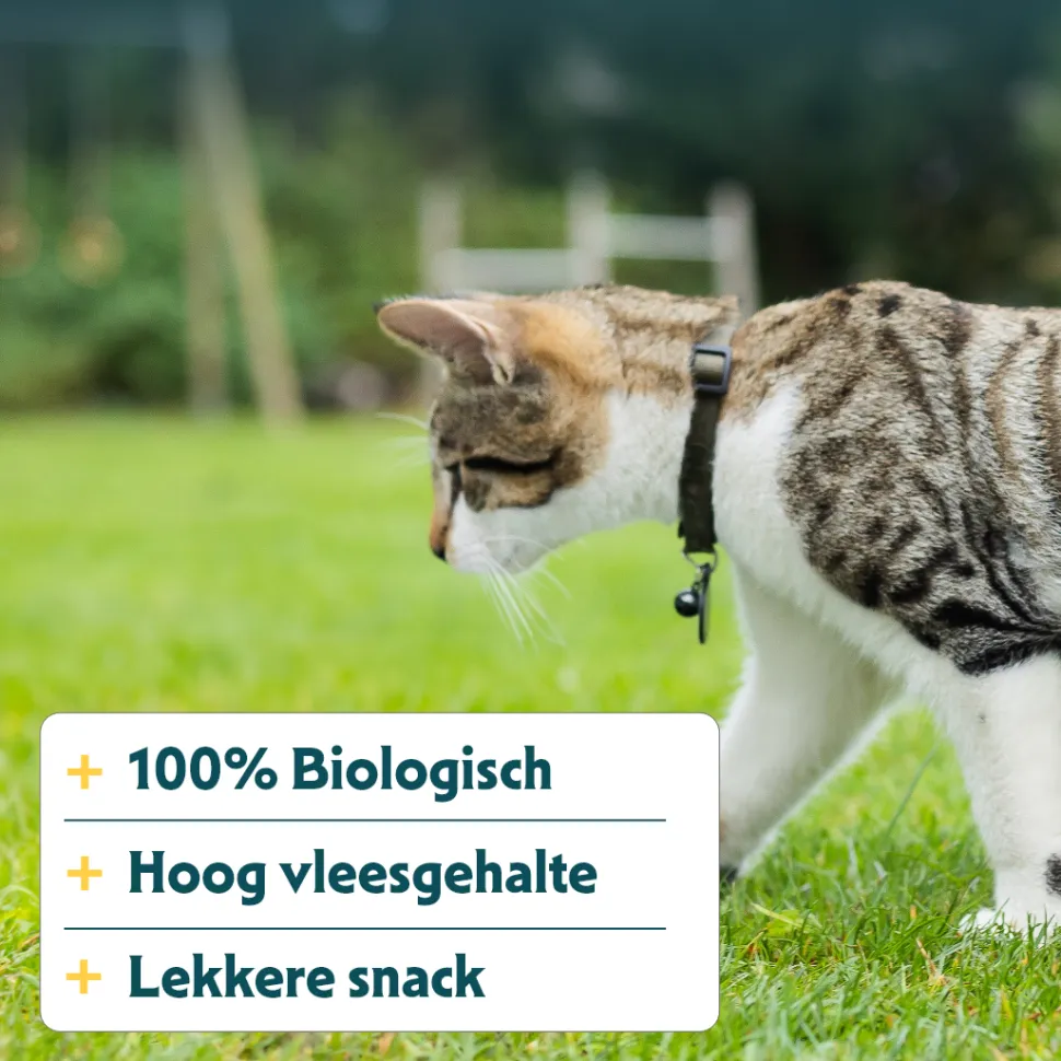 Yarrah - Kattensnack Chew Stick met Vis Bio