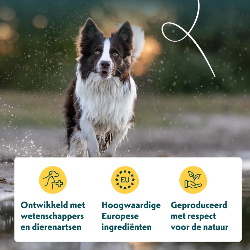 Yarrah - Multi Pack Hond Bio