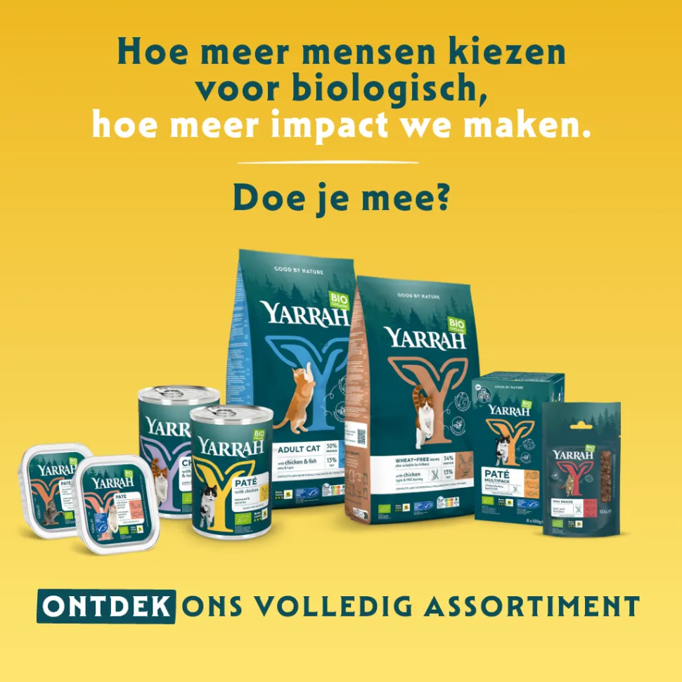 Yarrah - Multi Pack Kat Bio