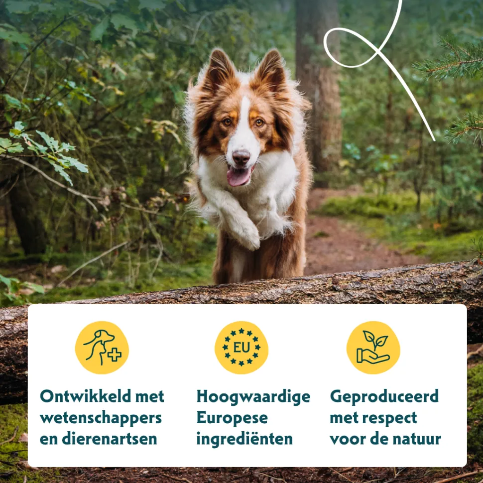 Yarrah - Natvoer Hond Blik Chunks met Rund Bio