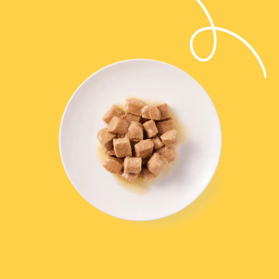 Yarrah - Natvoer Kat Blik Chunks met Kip & Rund Bio