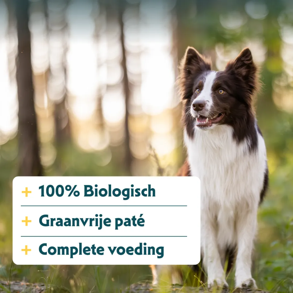 Yarrah - Natvoer Kuipje Paté met Kip