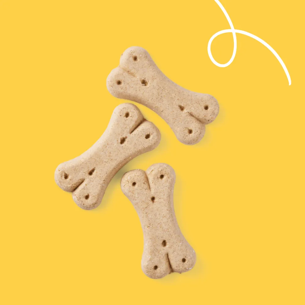 Yarrah - Vega Hondenkoekjes Bio