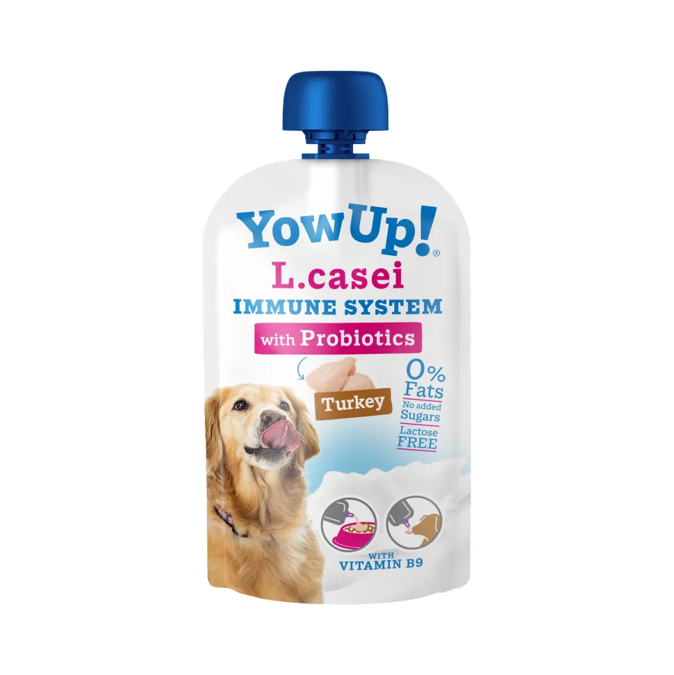 YowUp! L. Casei Immune System Hond
