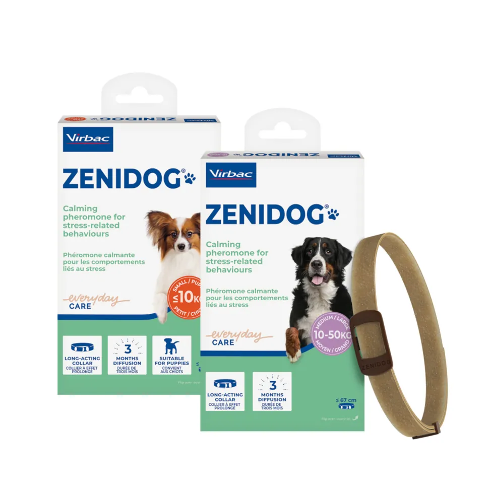 Zenidog Halsband