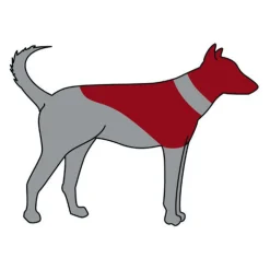 ZenPet Pro Collar