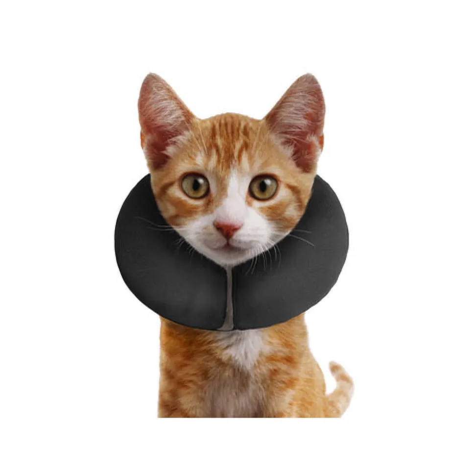ZenPet Pro Collar