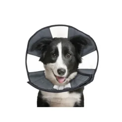 ZenPet Zen Collar