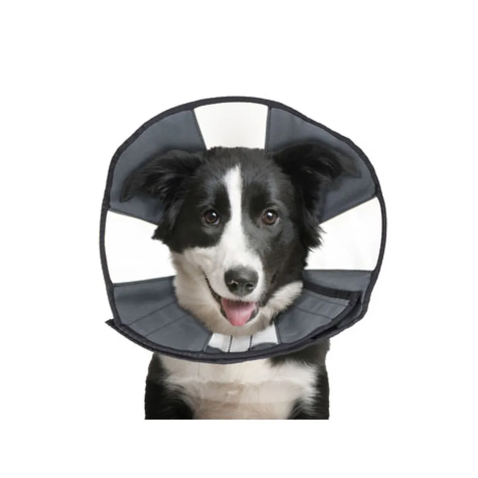 ZenPet Zen Collar