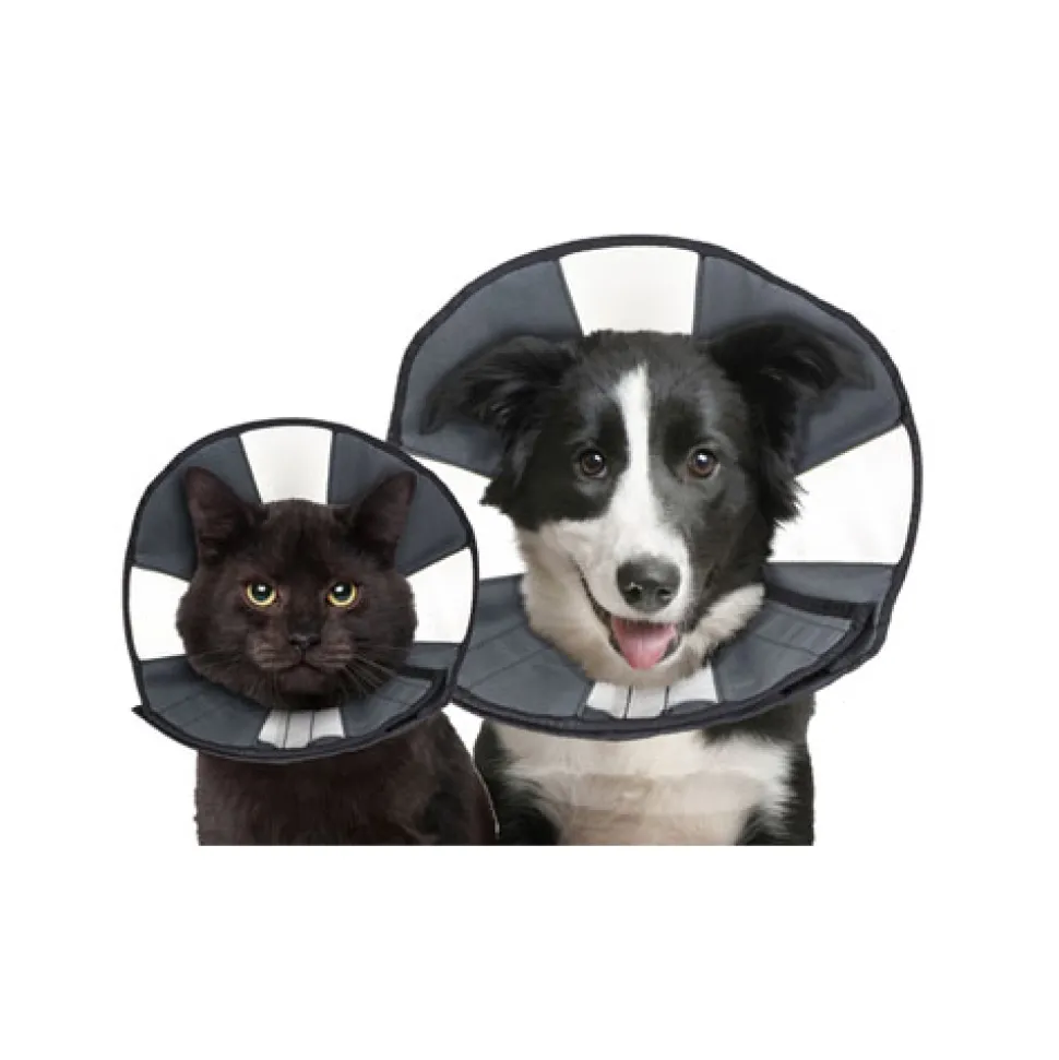 ZenPet Zen Collar