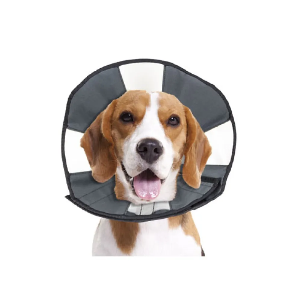 ZenPet Zen Collar