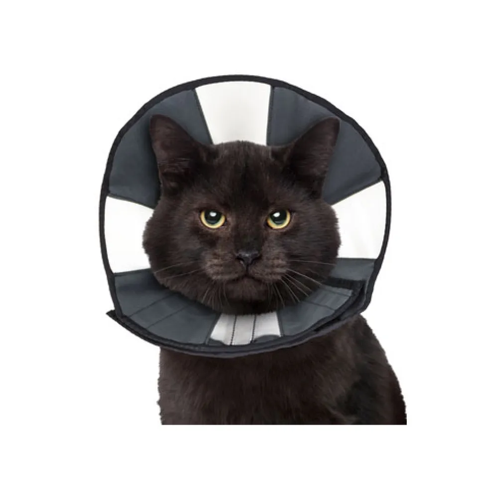 ZenPet Zen Collar
