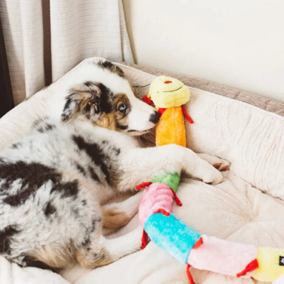 ZippyPaws Caterpillar Deluxe